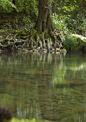 Similar image 1449636