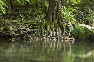 Similar image 1449638