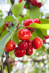 Similar image 1449644