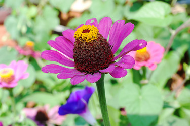 Similar image 1449646