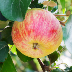 Similar image 1449648