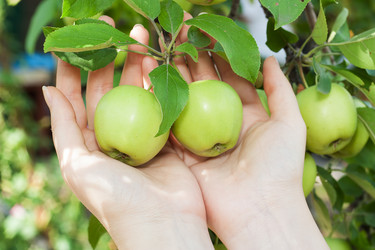 Similar image 1449649