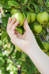 Similar image 1449650