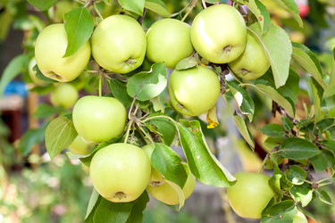 Similar image 1449651