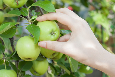 Similar image 1449652