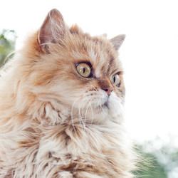 Similar image 1449653