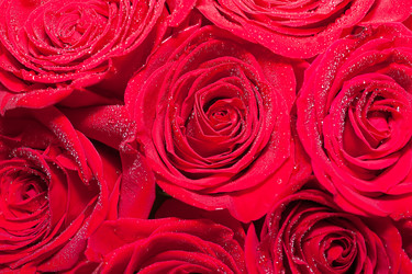 Similar image 1449654