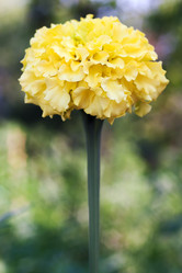 Similar image 1449656