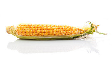 Similar image 1449786