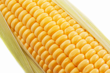 Similar image 1449787