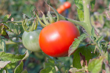 Similar image 1449810