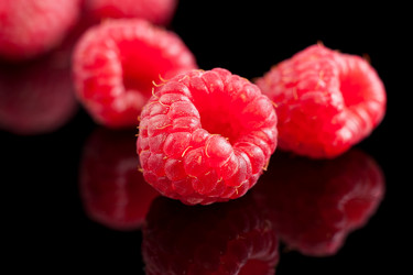 Similar image 1449820