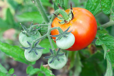 Similar image 1449843