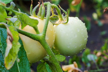 Similar image 1449846