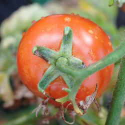 Similar image 1449847