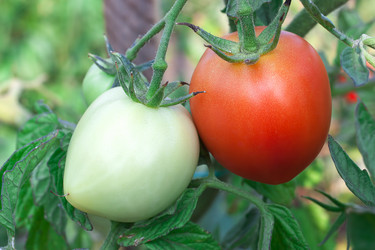 Similar image 1449848