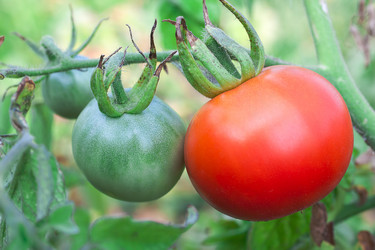 Similar image 1449849