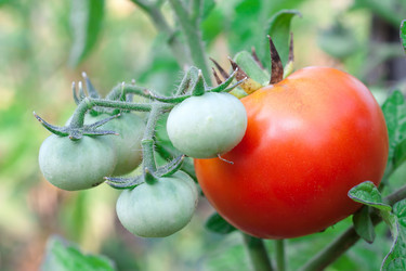 Similar image 1449850