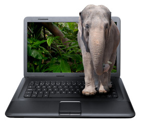 Similar image 1449899