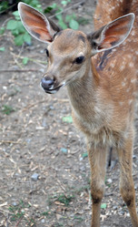 Similar image 1449902