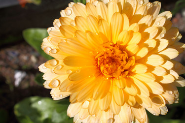 Similar image 1449905