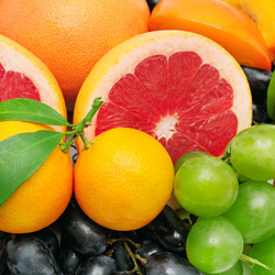 Similar image 1449919