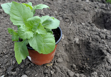 Similar image 1449937