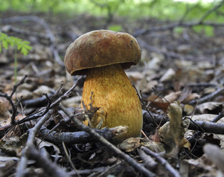 Similar image 1449939