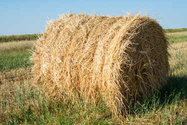 Similar image 1449946