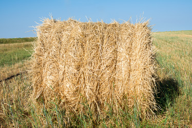 Similar image 1449947