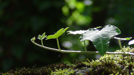 Similar image 1449956