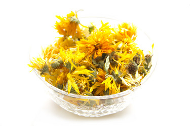 Similar image 1449959