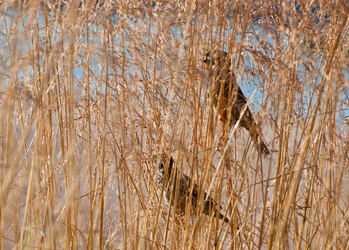 Similar image 1449978