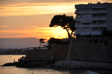 Similar image 1449995