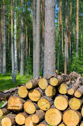 Similar image 1450070