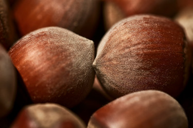 Similar image 1450093