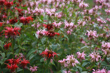 Similar image 1450099