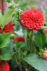 Similar image 1450100