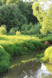 Similar image 1450101