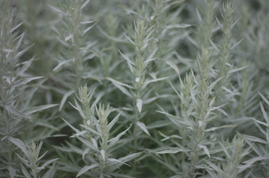 Similar image 1450105