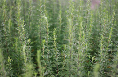 Similar image 1450106