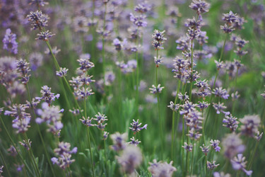 Similar image 1450107