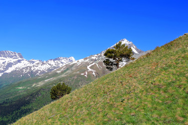 Similar image 1450115