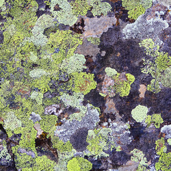 Similar image 1450116