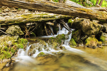 Similar image 1450125