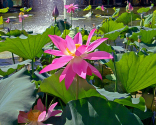 Similar image 1450136