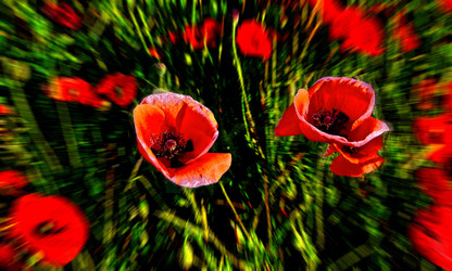 Similar image 1450140