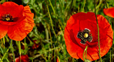 Similar image 1450141