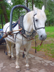 Similar image 1450222