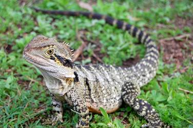 Similar image 1450280